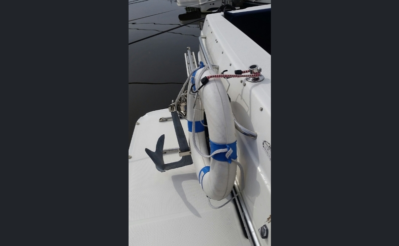 Bayliner 288 Discovery-kuva-11